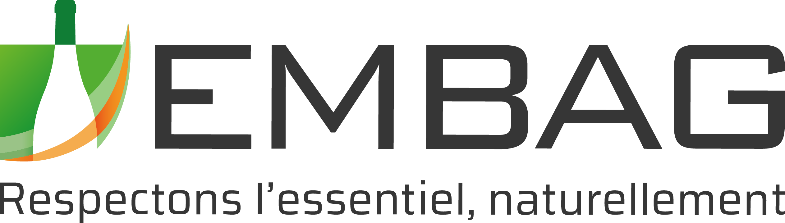 nouveau logo EMBAG